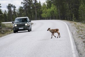 Ciel une voiture !