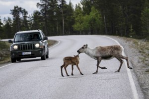 Dis Maman, tu crois qu'on peut traverser ?